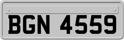 BGN4559