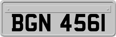 BGN4561