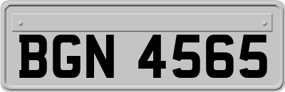 BGN4565