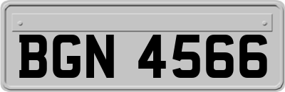 BGN4566