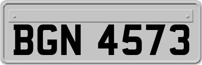 BGN4573