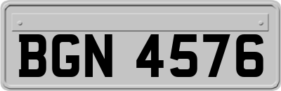 BGN4576