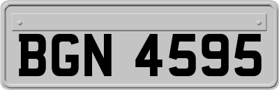 BGN4595