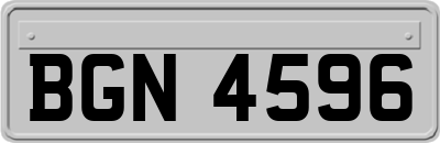 BGN4596