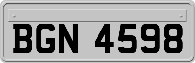 BGN4598