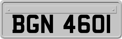 BGN4601