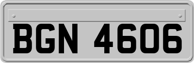 BGN4606