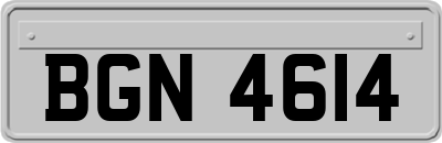 BGN4614