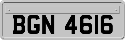 BGN4616