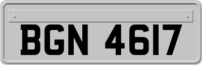 BGN4617