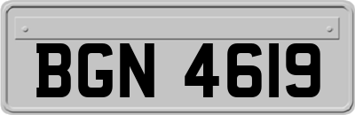 BGN4619