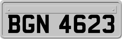 BGN4623