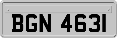 BGN4631