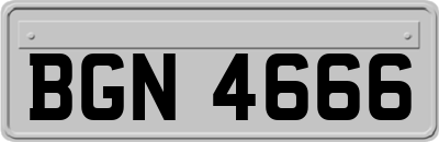BGN4666
