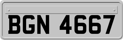 BGN4667