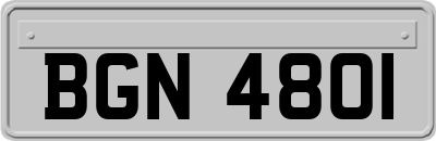 BGN4801