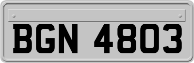 BGN4803