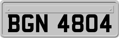 BGN4804