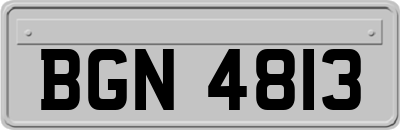 BGN4813