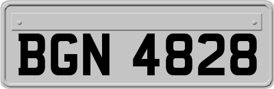 BGN4828