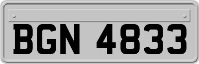BGN4833