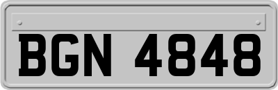 BGN4848
