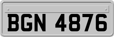 BGN4876