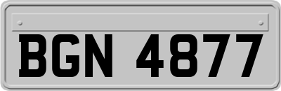 BGN4877