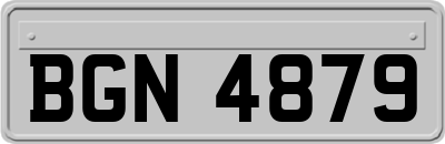 BGN4879