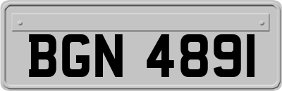 BGN4891