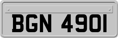 BGN4901
