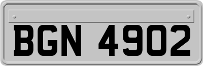 BGN4902