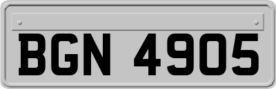 BGN4905