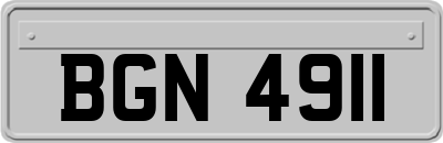 BGN4911