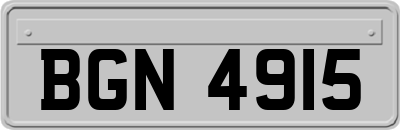 BGN4915