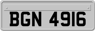 BGN4916