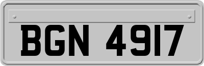 BGN4917