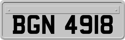 BGN4918