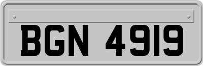 BGN4919