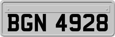 BGN4928