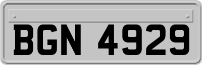 BGN4929
