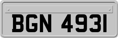 BGN4931