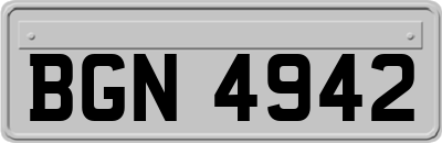 BGN4942
