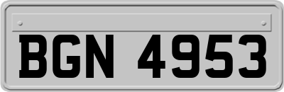 BGN4953