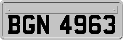 BGN4963