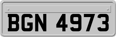 BGN4973