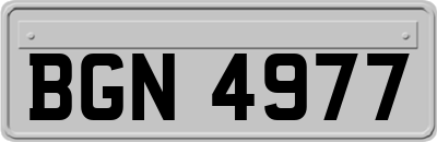 BGN4977