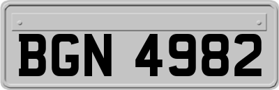BGN4982