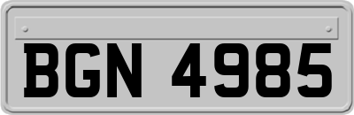 BGN4985