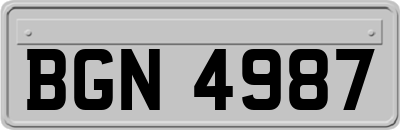 BGN4987